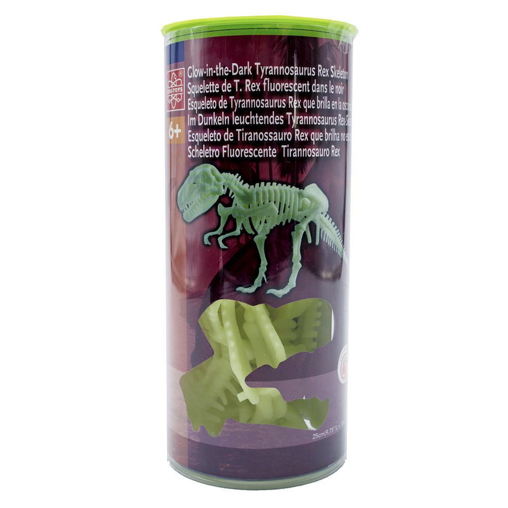 Edu-Toys - Glow in the Dark - Tyrannosaurus Rex Skeleton - 25cm