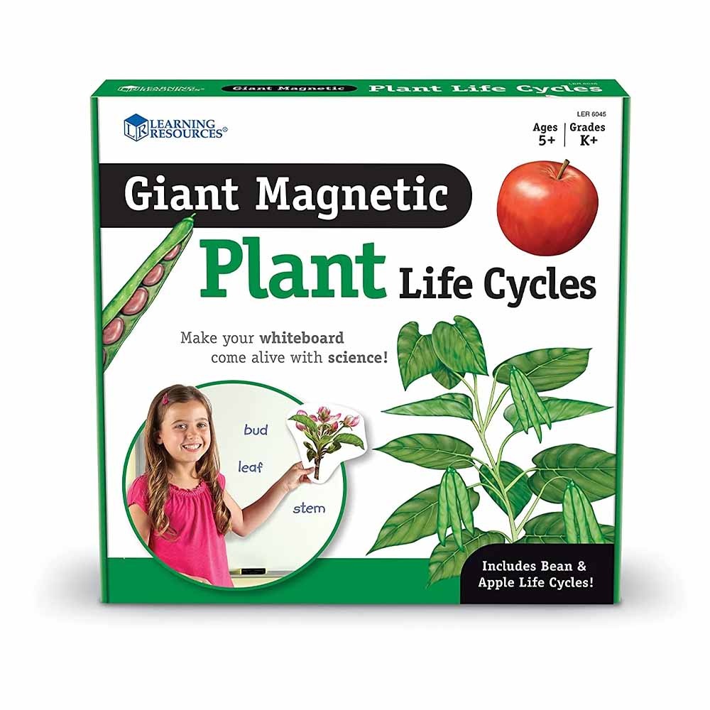 Learning Resources - Giant Magnetic Plant Life Cycle: Classroom Science Demo Set