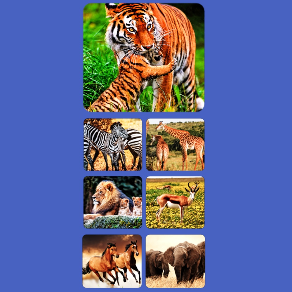 Mideer - 3D Filmscope Picture Viewer - Educational Exploration Set