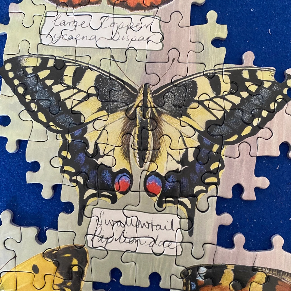 Gibsons - Beautiful Butterflies - 1000 Piece Jigsaw Puzzle