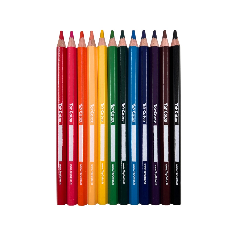 Toy Color - Jumbo Wooden Pencils - 5mm Lead Jar - 12 Colours - 48pcs