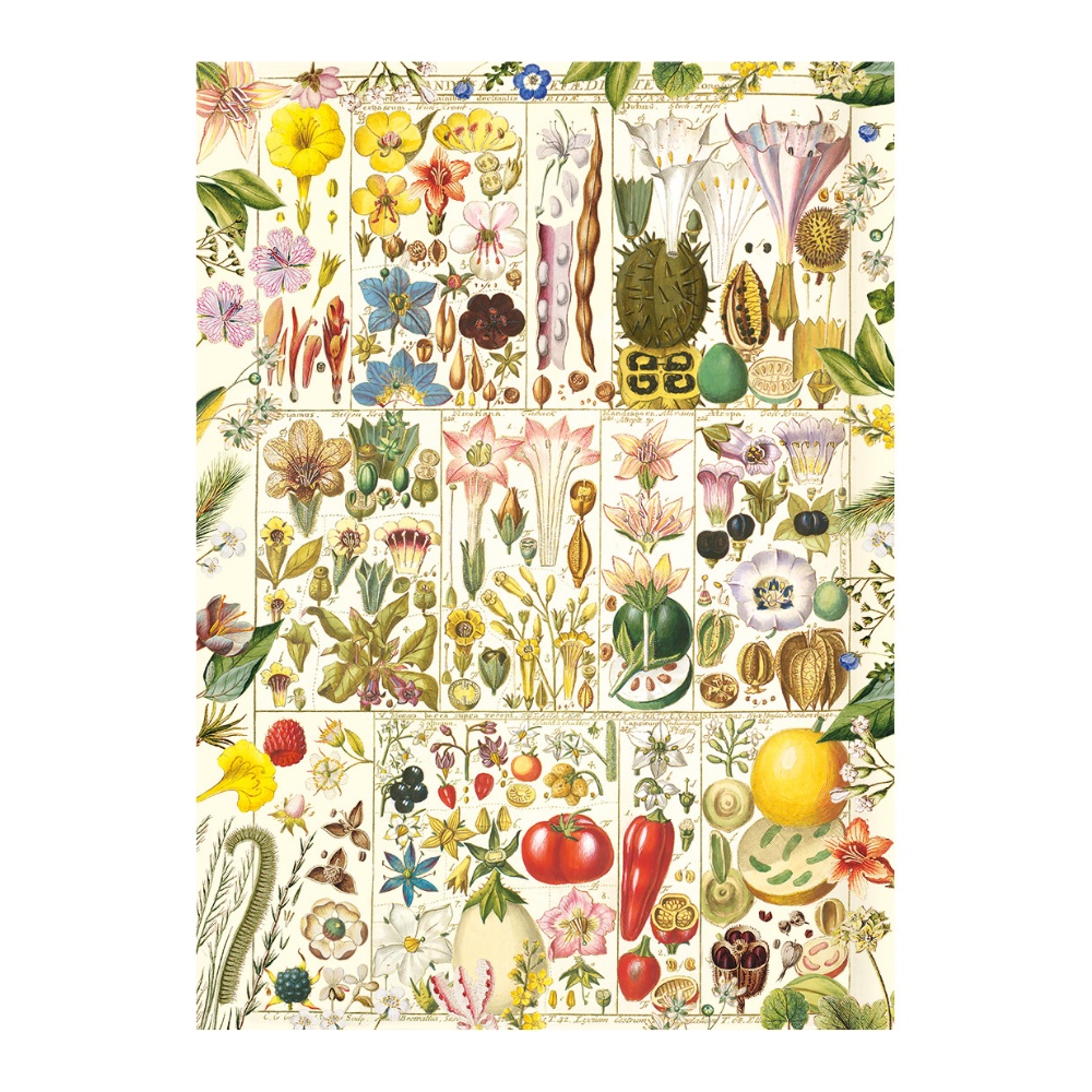 Gibsons - RHS: Botanical Bliss - 1000 Piece Jigsaw Puzzle