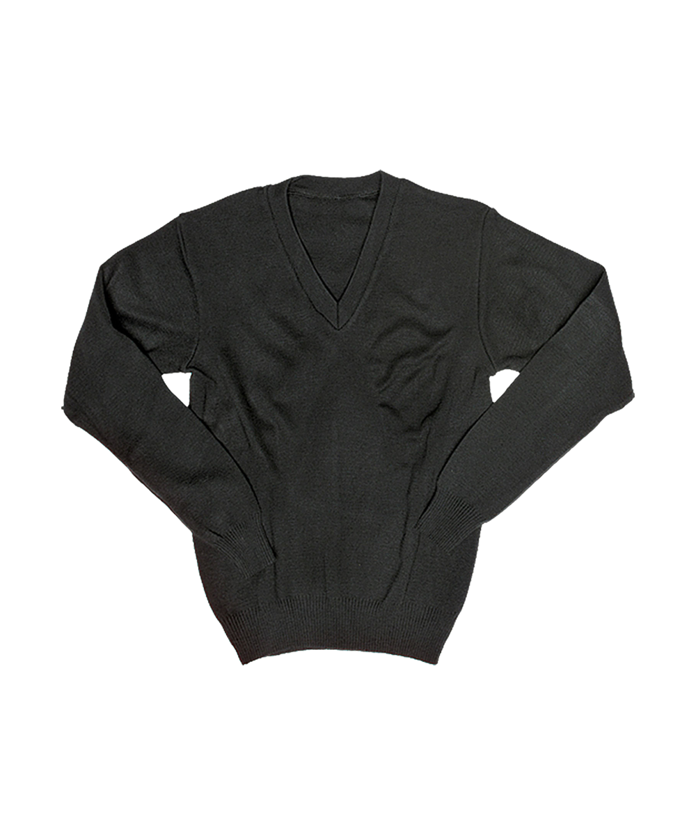 69c3c88fc03424c7f4918a2d65293a9e