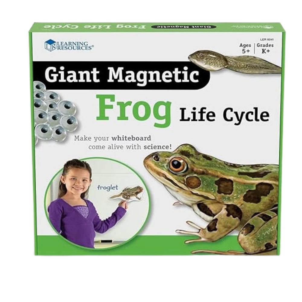 Learning Resources - Giant Magnetic Frog Life Cycle: Classroom Science Demo Set