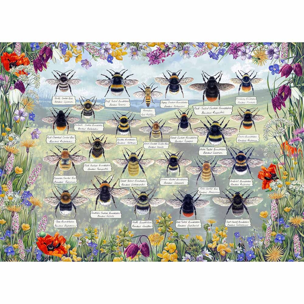 Gibsons - Brillant Bees - 1000 Piece Jigsaw Puzzle