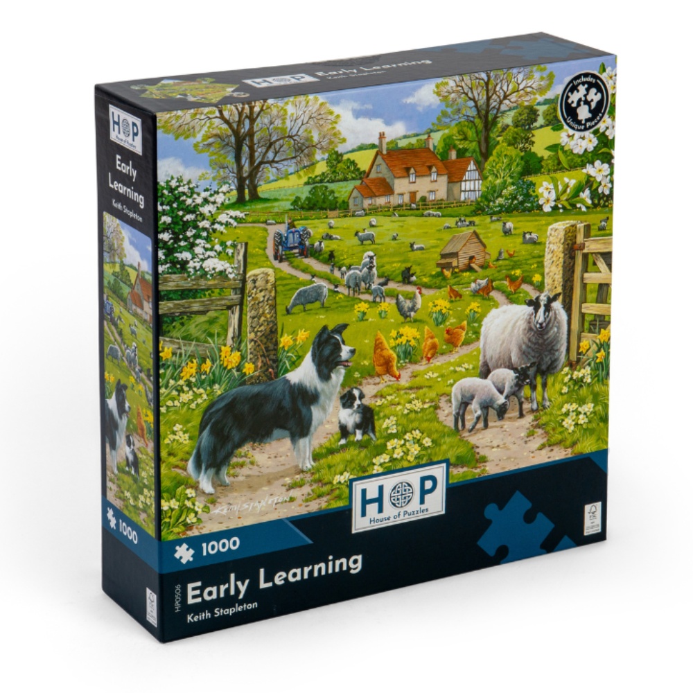 House of Puzzles - Early Learning - 1000 Piece Jigsaw Puzzle