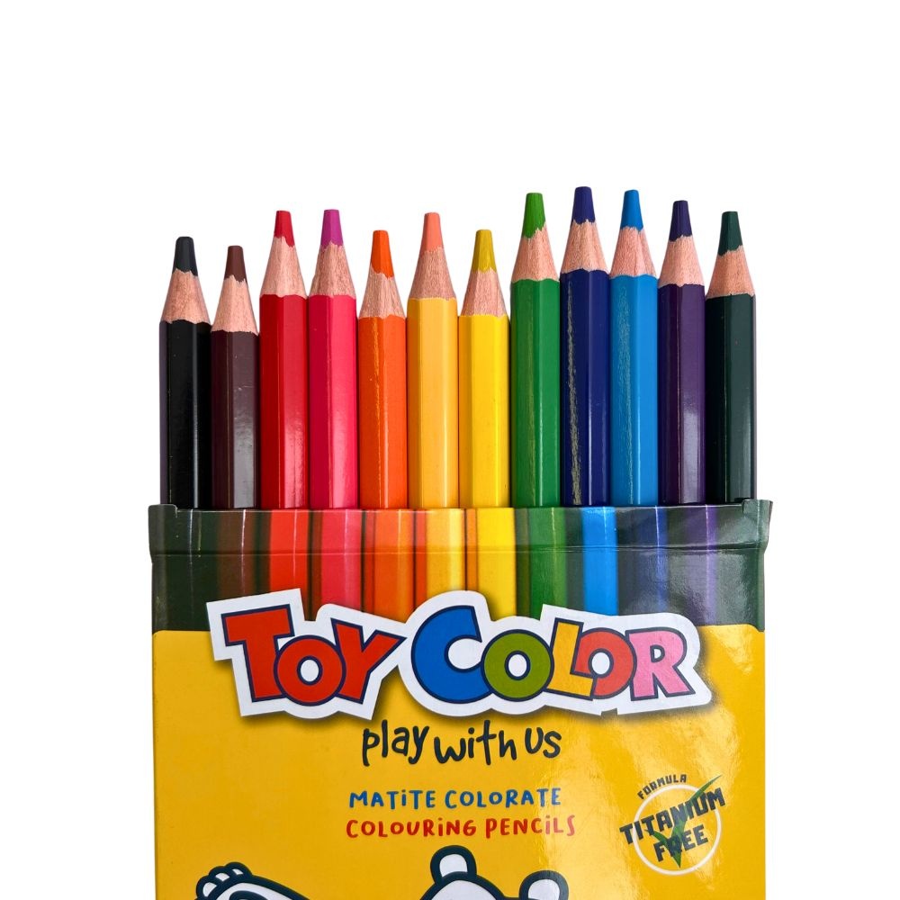 Toy Color - Jumbo Hexagonal Pencils - 12 Colours with 5mm Soft Lead & Sharpener