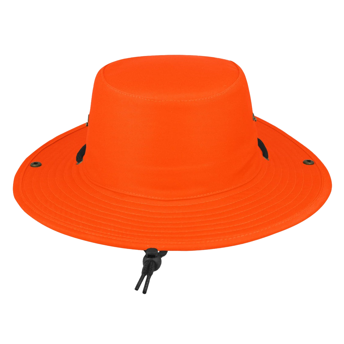 ec439846272f4f5e7629a691486d75f3